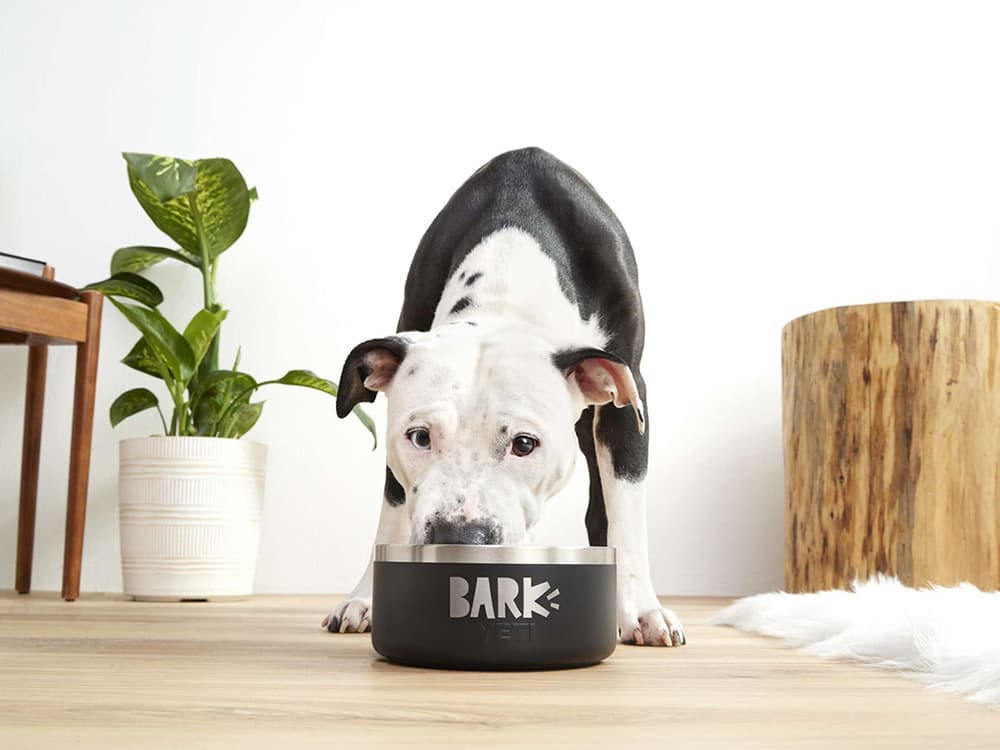 BARK’s Breed-Specific Food Adds Extra Pampering to Your Dog’s Life