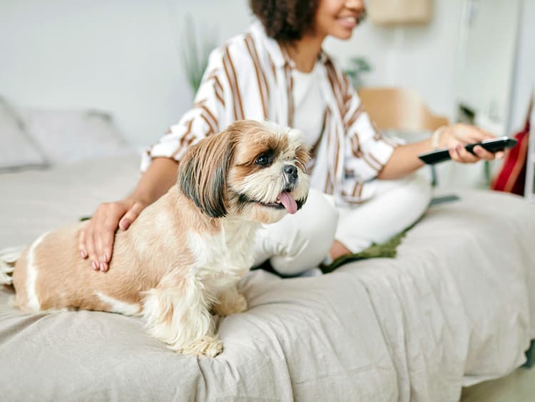 Many People Would Rather Watch Movies With Their Dogs Than Their Partners, Poll Finds