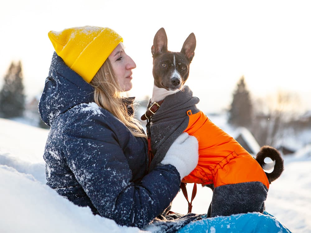 Should You Use Flea and Tick Prevention for Your Pet in the Winter?
