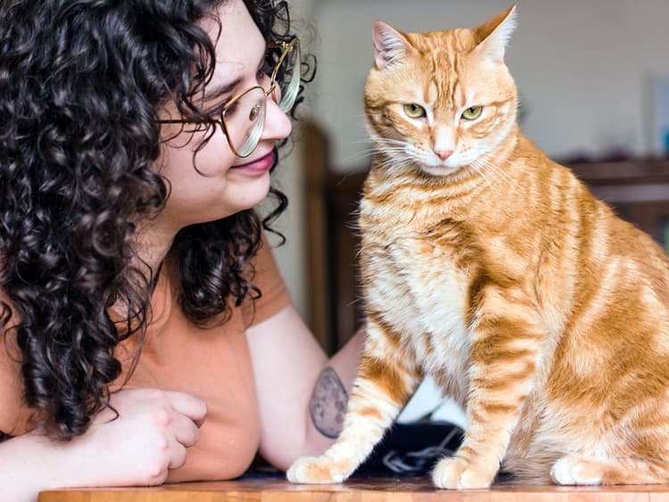11 Ways You’re Annoying Your Cat Without Realizing It