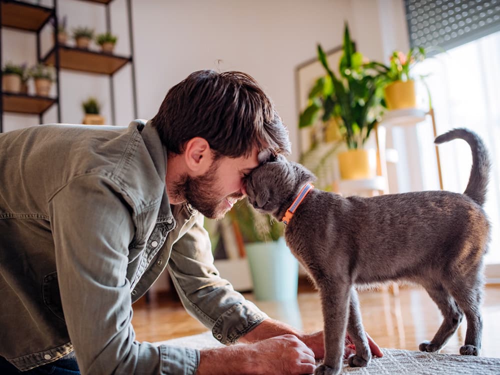 Does Your Cat Think You’re Their Mom?