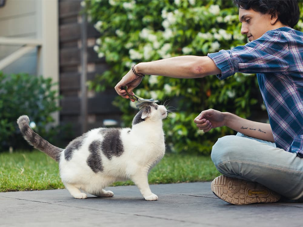 7 Ways You Can Upcycle the Tumbleweeds of Pet Hair Floating Around Your House