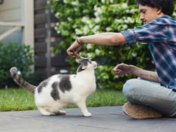 7 Ways You Can Upcycle the Tumbleweeds of Pet Hair Floating Around Your House