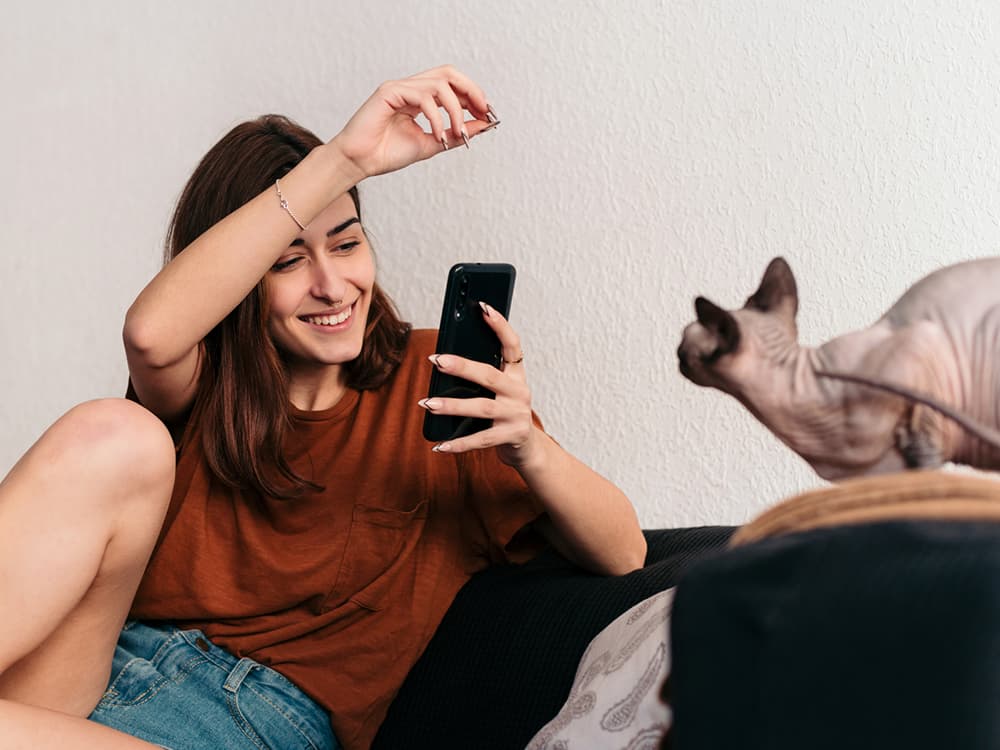 A Star is Born: 11 Tiktok Challenges to Turn Your Kitty Into an Influencer