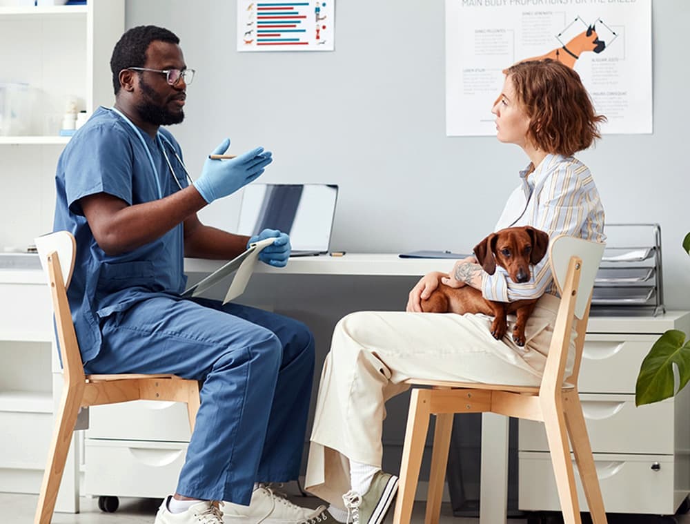 4 Reasons You Should Break Up With Your Vet