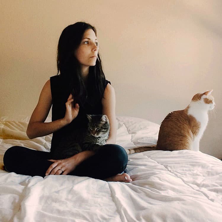You Might Be the Reason Your Cat Is So Moody, Study Finds