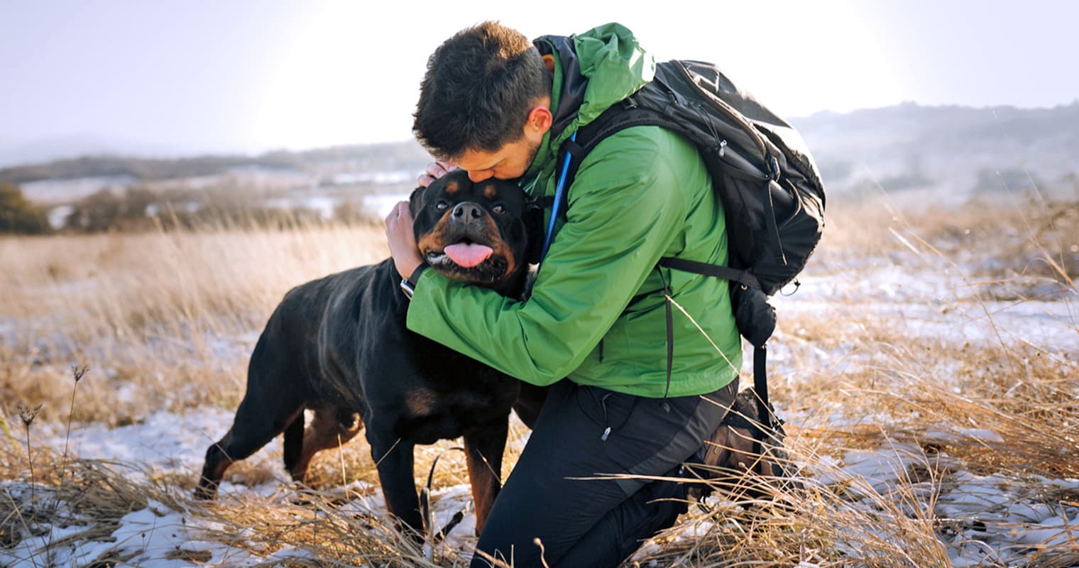 How Do I Rehome My Rottweiler?