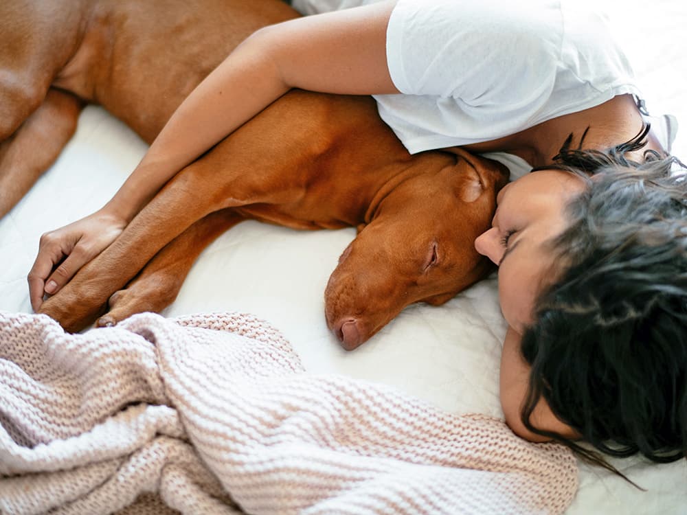 Can Dogs Have Bad Dreams or Nightmares?