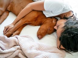 Can Dogs Have Bad Dreams or Nightmares?