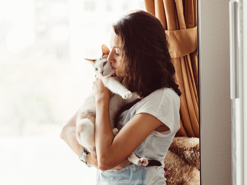 Why Do Cats Purr?