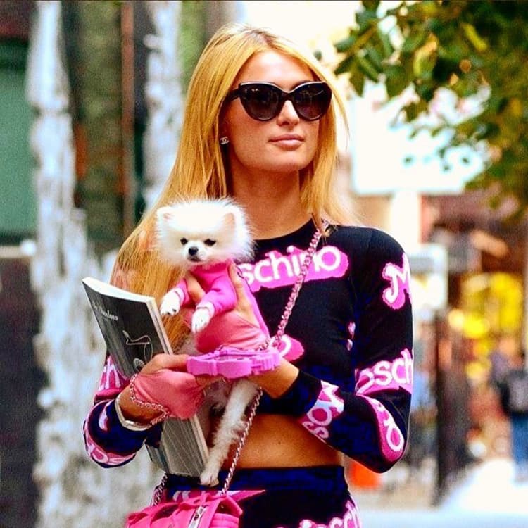 11 Celebrities Who Are Obsessed With Their Teeny, Tiny Dogs