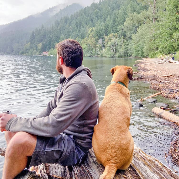 The 10 Most Dog-Friendly National Parks You Should Visit This Summer