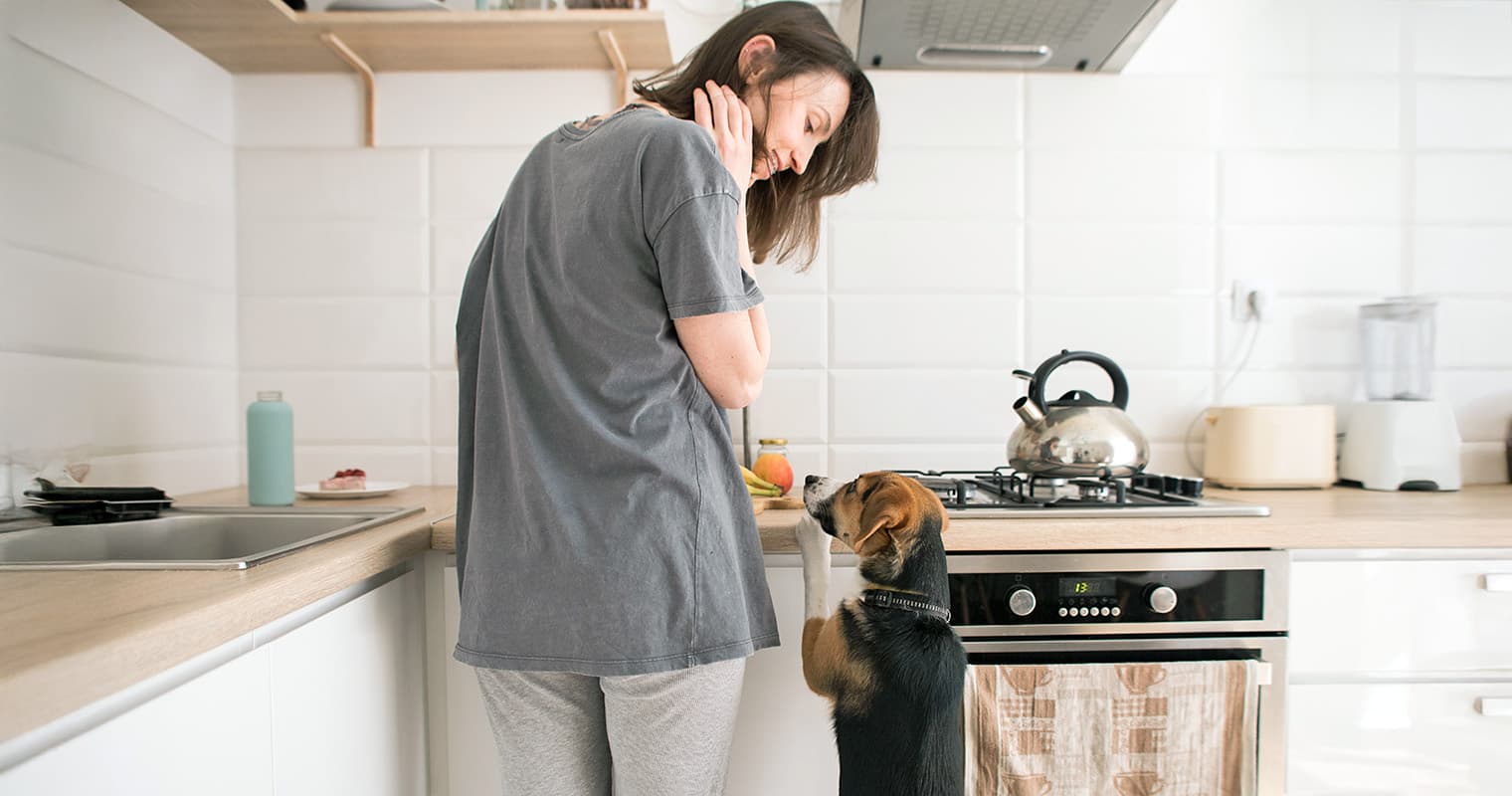 Is Your Dog at Risk for Pancreatitis?