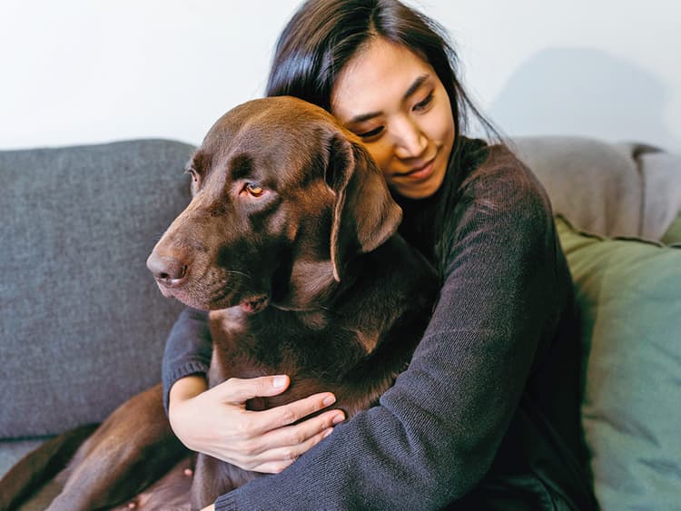 LA Residents Could Get Paid to Foster Pets