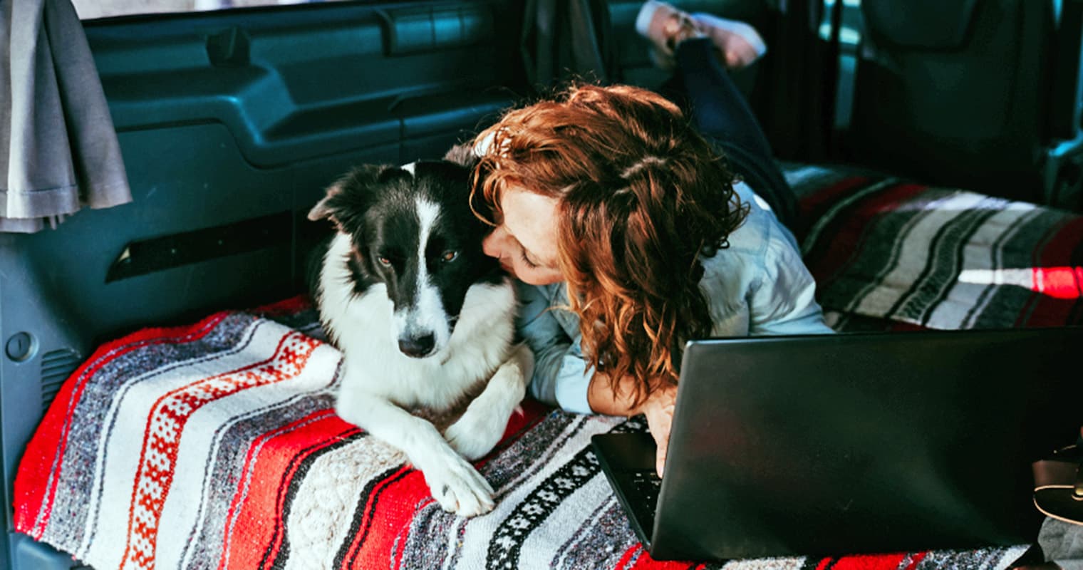 How Do I Give Up My Border Collie?