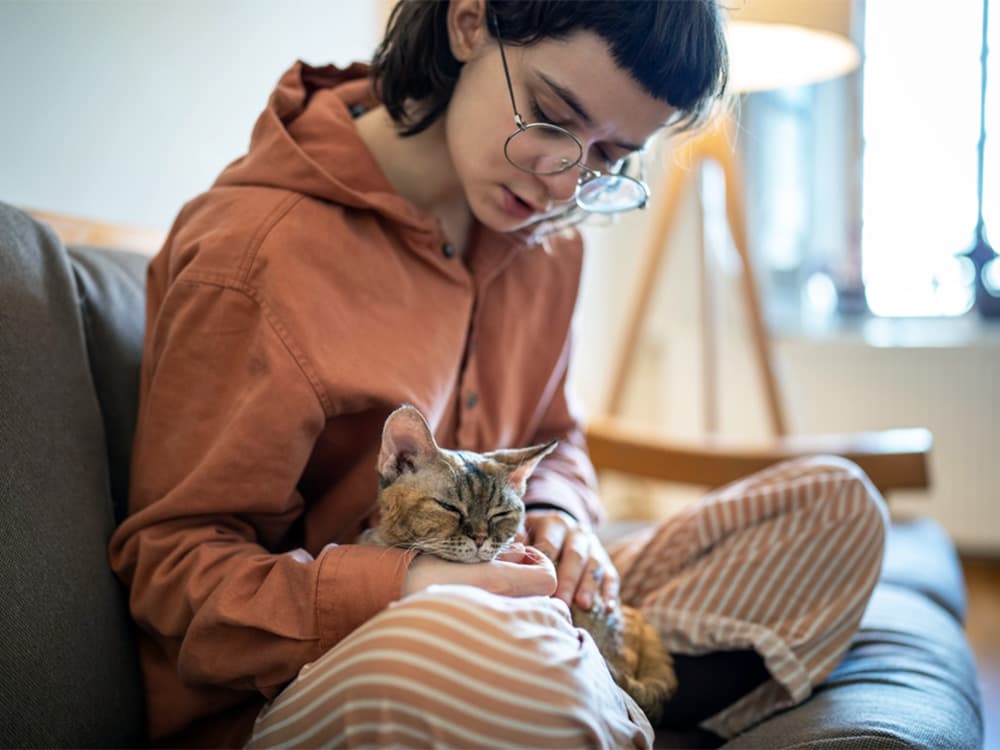 How to Tell If Your Cat Has Depression