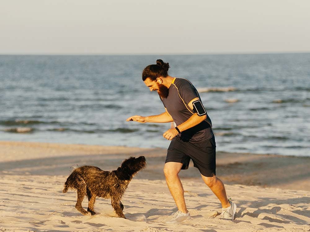 Strategies for Encountering Dogs While Running