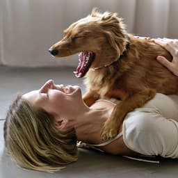Why Does My Dog Yawn So Much?
