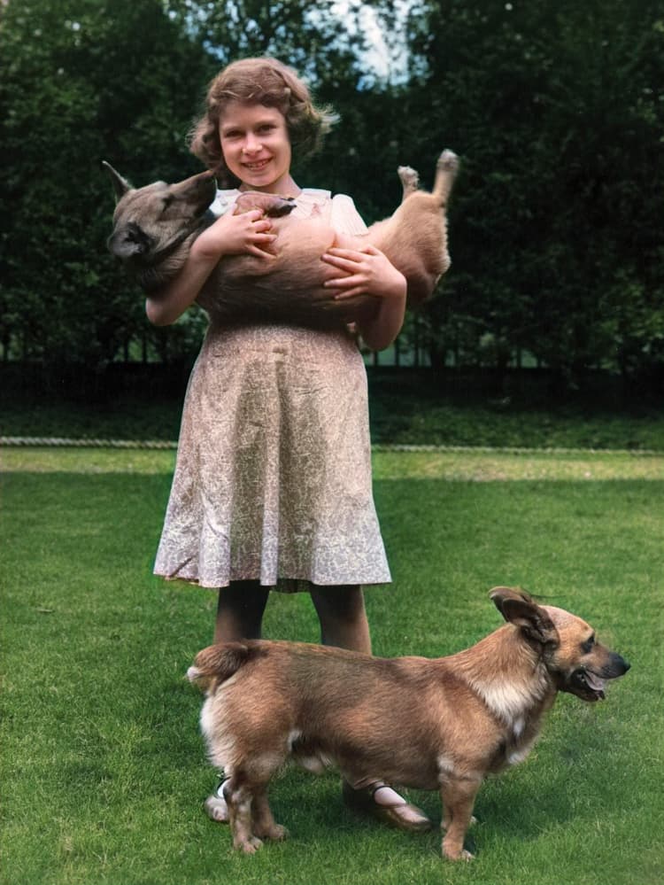 Queen Elizabeth’s Famous Corgis Were Her Most Loyal Subjects