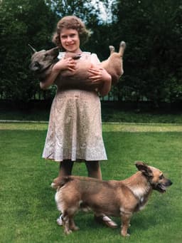 Queen Elizabeth’s Famous Corgis Were Her Most Loyal Subjects