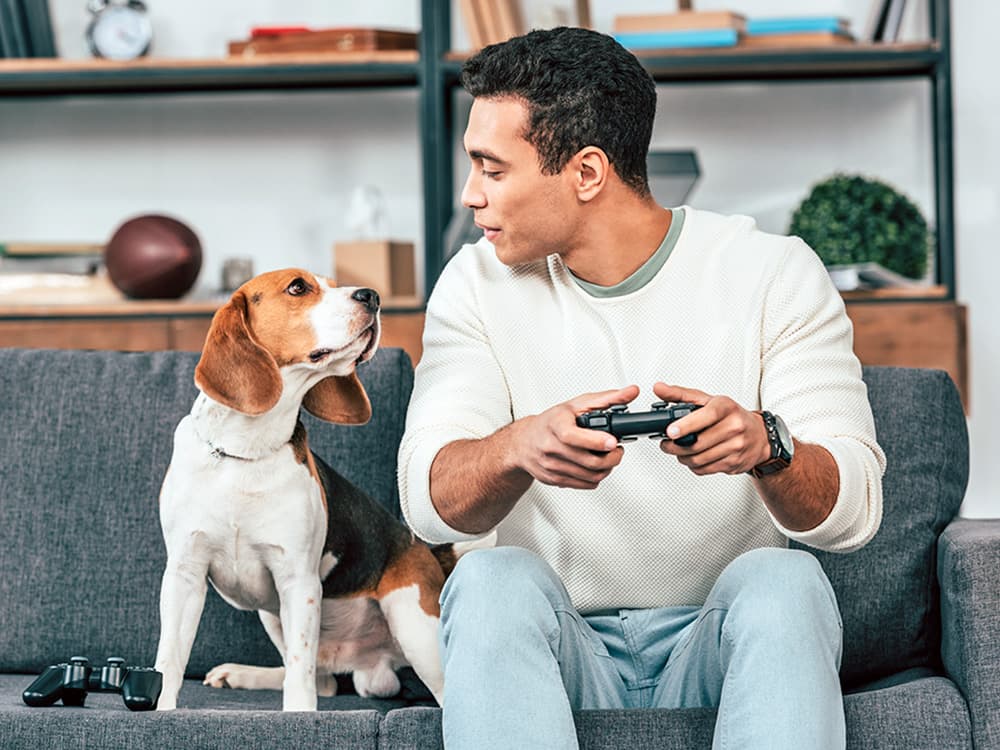 12 Things Your Dog Wishes They Could Ask You For
