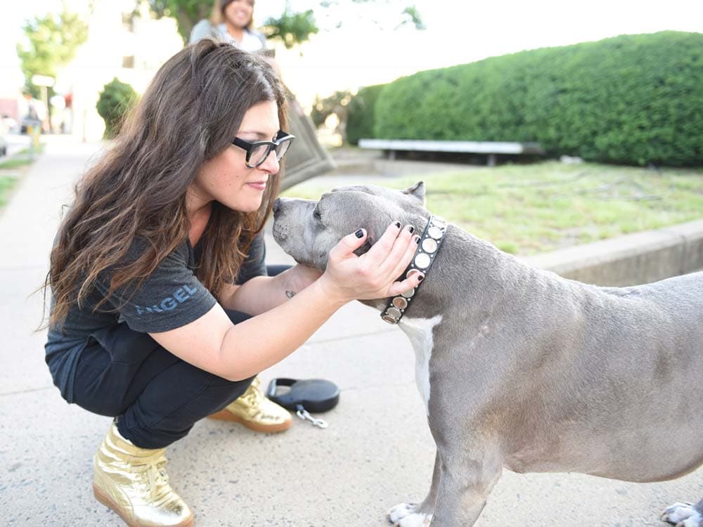 Comedian Rebecca Corry Stands Up for Pit Bulls