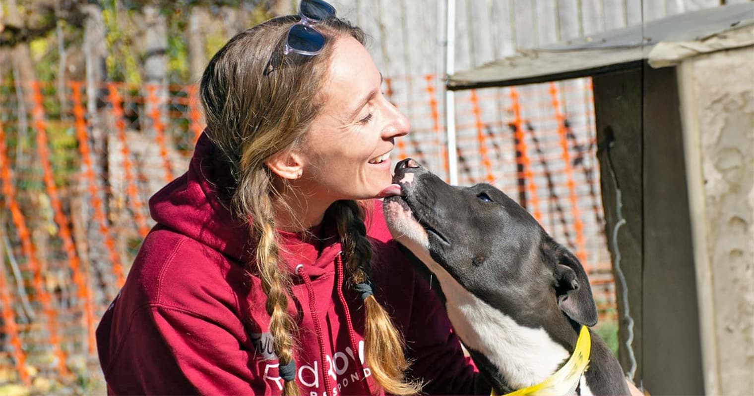 red rover pet charity