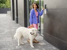 Won’t You Be My (Dog’s) Neighbor?