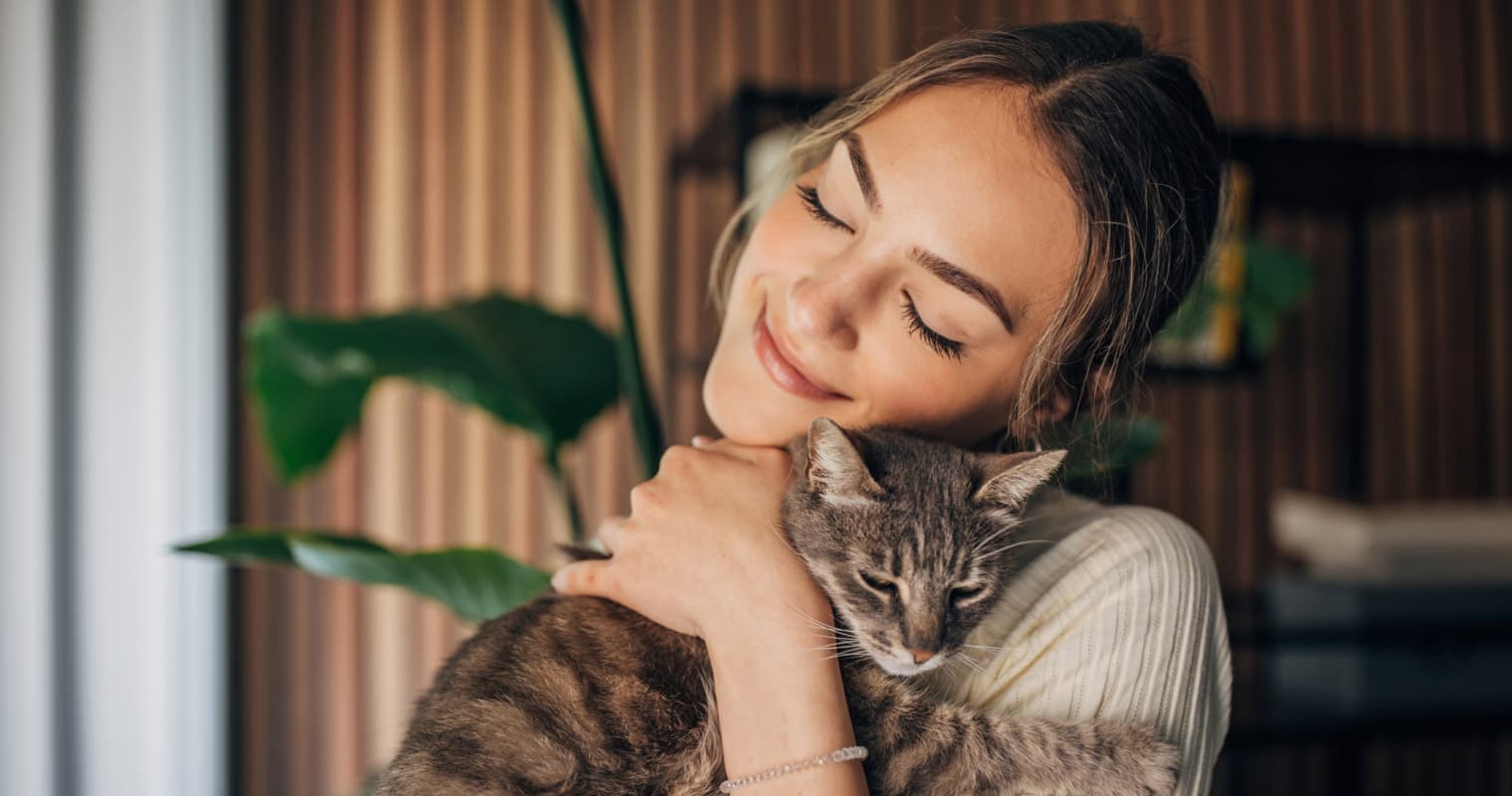 Why Does My Cat Need So Much Attention?