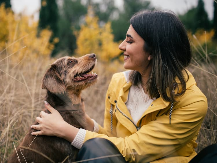 How to Keep Your Dog’s Brain Healthy for as Long as Possible