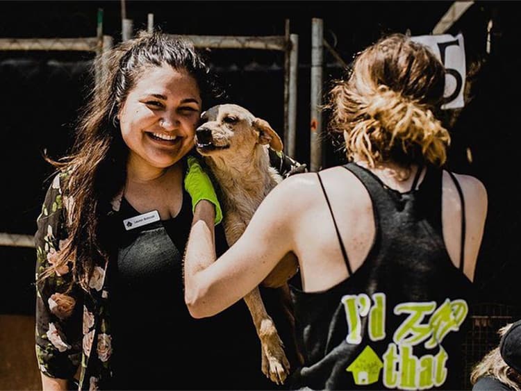 As Shelters Fill Up With Dogs, The Animal Pad Volunteers Roll Up Their Sleeves