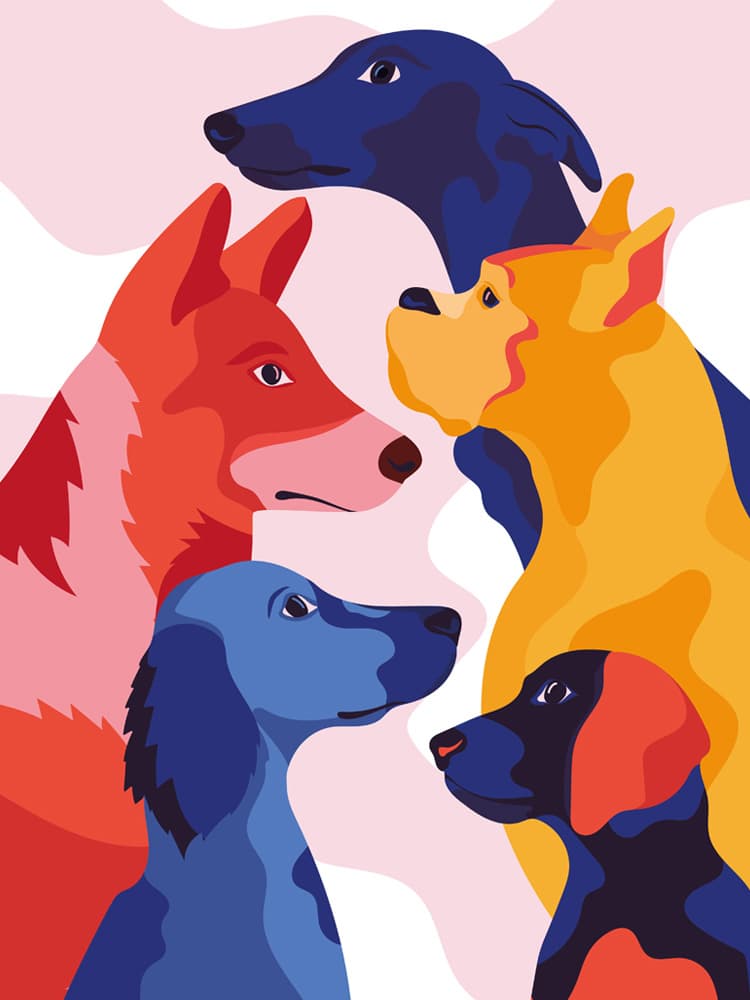 Is Your Dog Tricky to Train? Here’s Why You Shouldn’t Feel Guilty