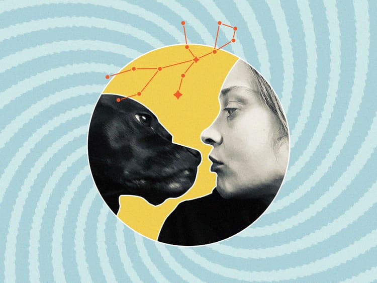 Virgo Season is For Animal Lovers
