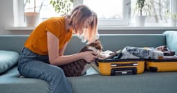 Can I Travel with My Cat? What to Consider