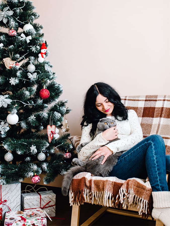 How to Keep Your Cat Away From the Christmas Tree