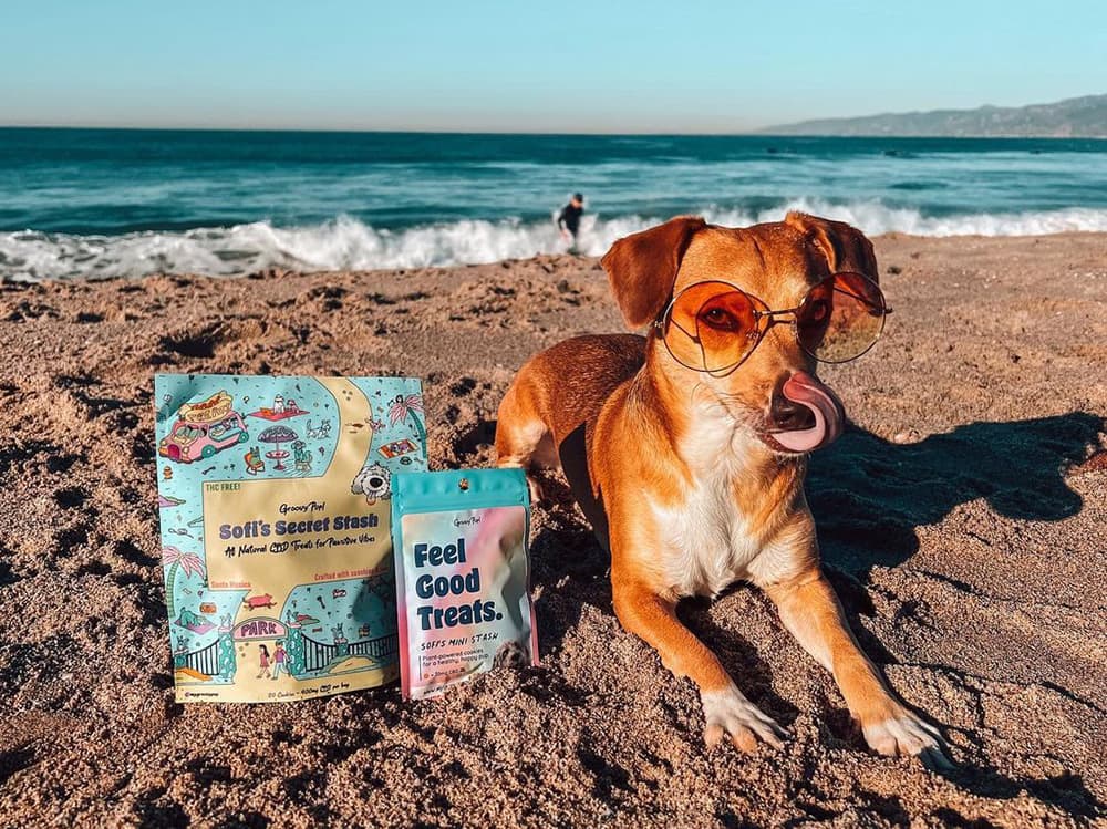 Sofi’s Secret Stash Is All About the Groovy Vibes