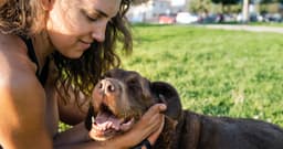 12 Science-Backed Reasons Dogs Make the Best Pets