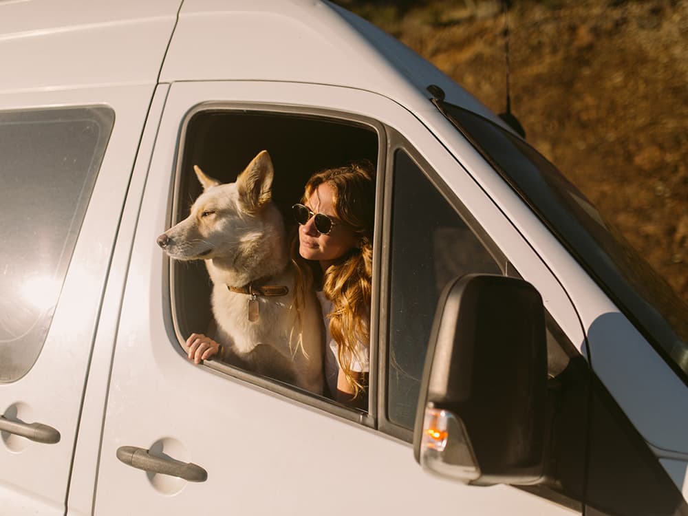 How to Road Trip With Your Dog
