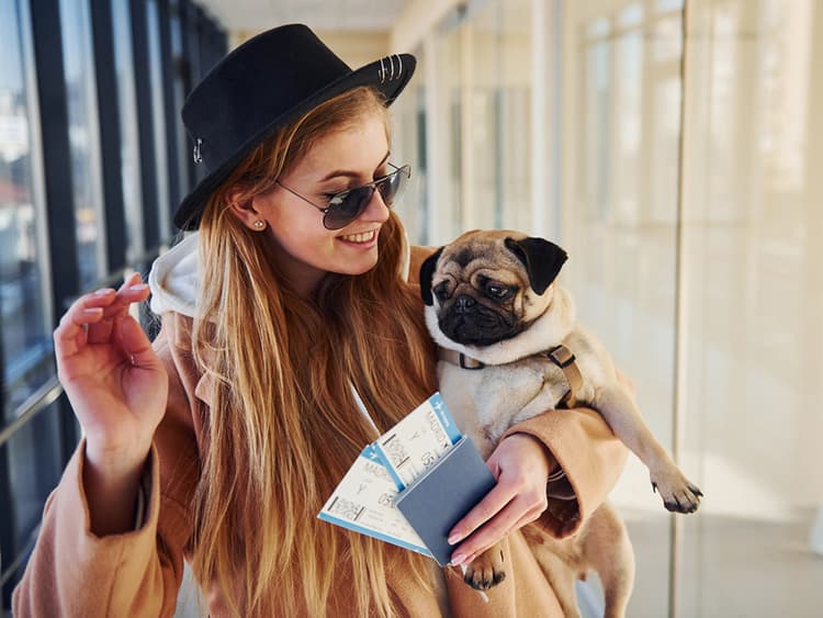 10 Places Where Your ESA Is—and Is Not—Allowed