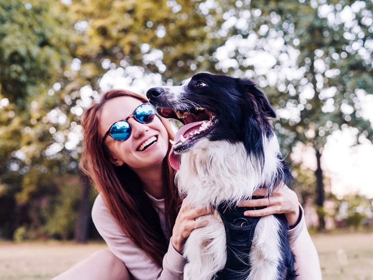 Do Dogs Try and Make Us Laugh? The Internet Thinks So — Here’s What Science Says
