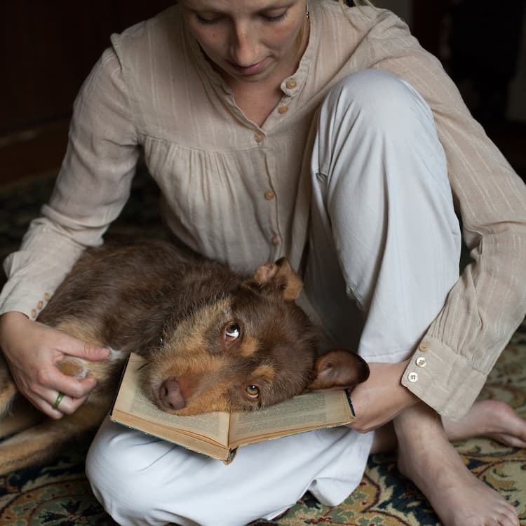 Is Your Dog Messing With You on Purpose?