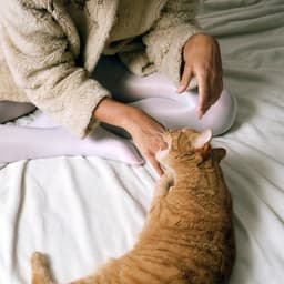 Is Your Cat Attacking You Out of Nowhere? Here’s Why