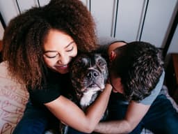 What Is a Pit Bull, Exactly?