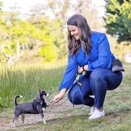 10 Dog-Training Instagram Accounts You’ll Love as Much as Dogs Love Squirrels