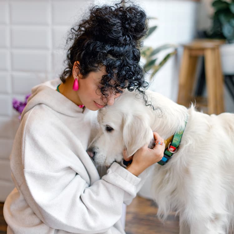 What Medication Can You Give Your Dog for Anxiety?