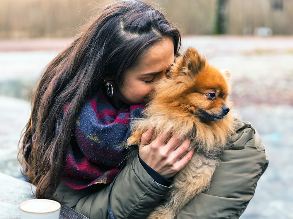 pomeranian dog in lap outside