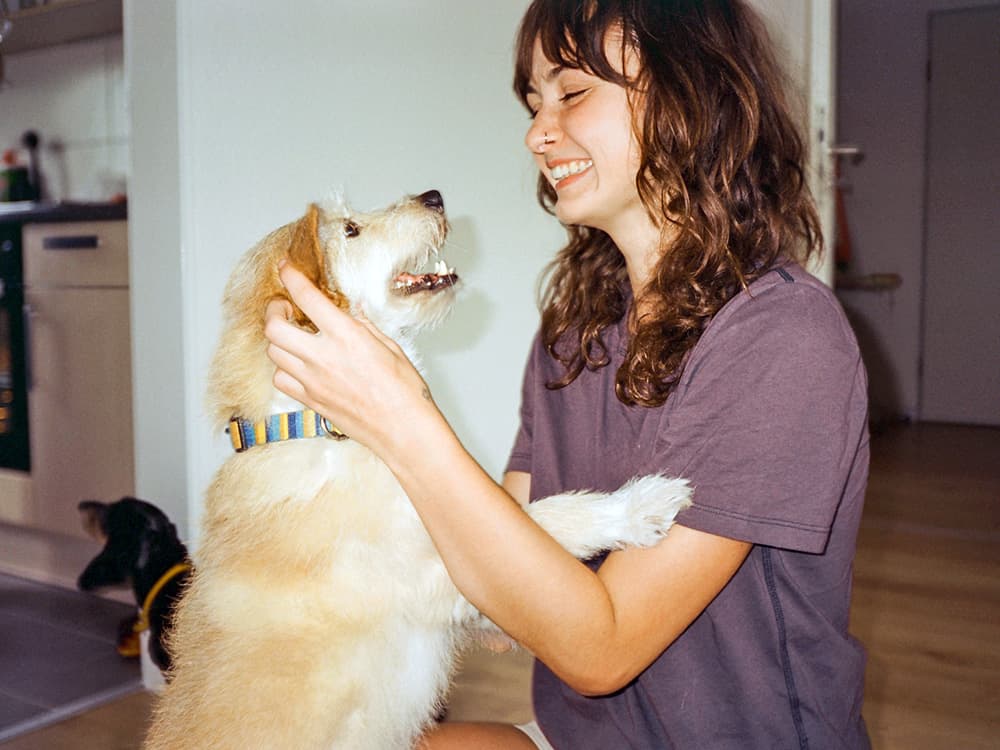 What to Expect When You Bring Home a New Dog from a Shelter