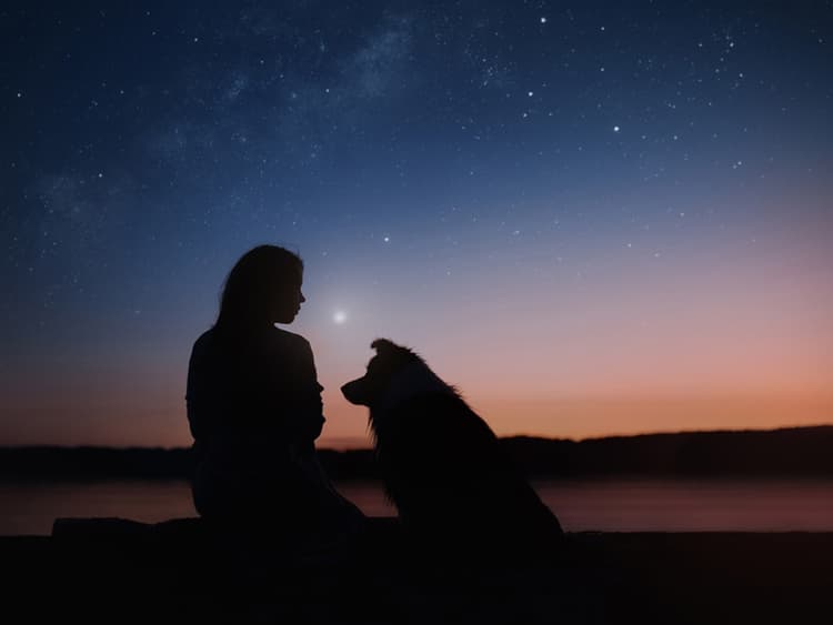 Mercury Is In Retrograde—Here’s How It Will Affect Your Pet This Aries Season
