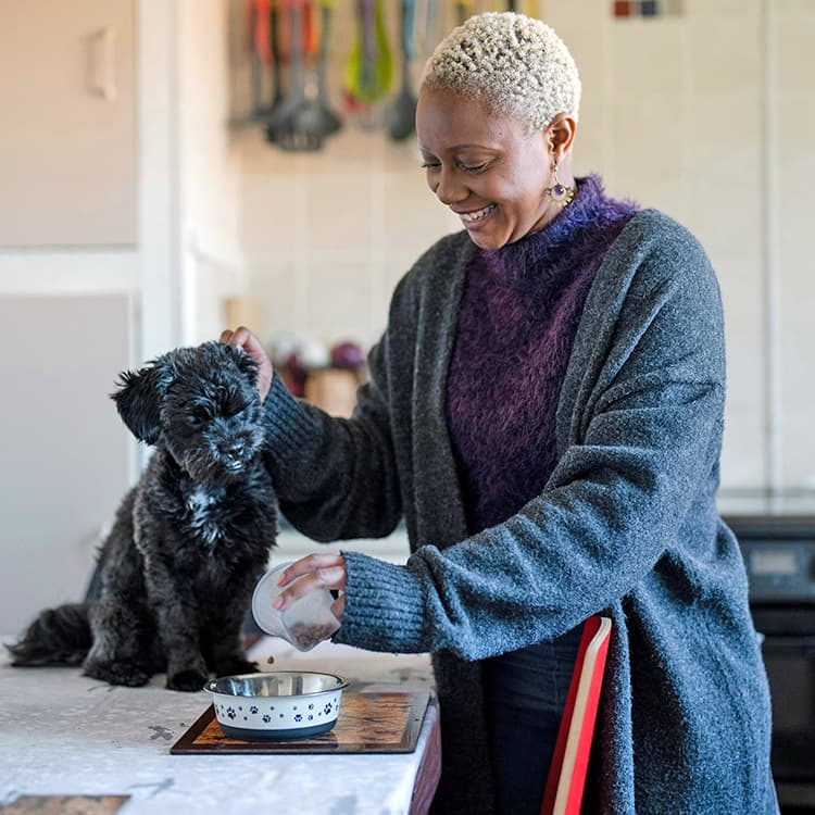 How to Add More Fiber to Your Dog’s Diet