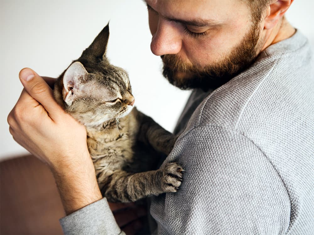 Diabetes in Cats: Symptoms, Treatments, and Prognosis